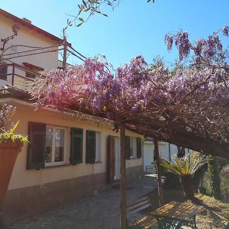 Vila La Vivagna - Casa Vista Mare Tra Gli Ulivi Leivi Exteriér fotografie