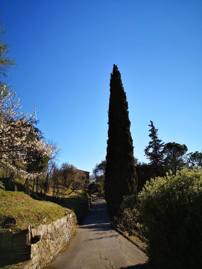 Vila La Vivagna - Casa Vista Mare Tra Gli Ulivi Leivi Exteriér fotografie