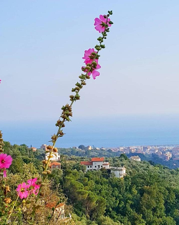 Vila La Vivagna - Casa Vista Mare Tra Gli Ulivi Leivi Exteriér fotografie