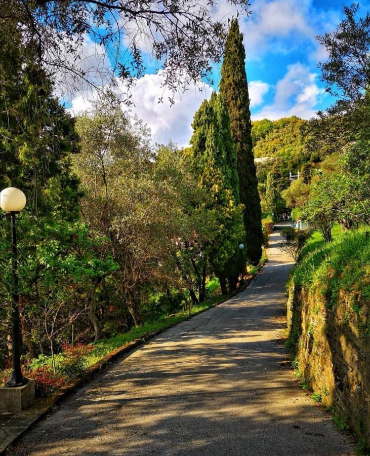 Vila La Vivagna - Casa Vista Mare Tra Gli Ulivi Leivi Exteriér fotografie