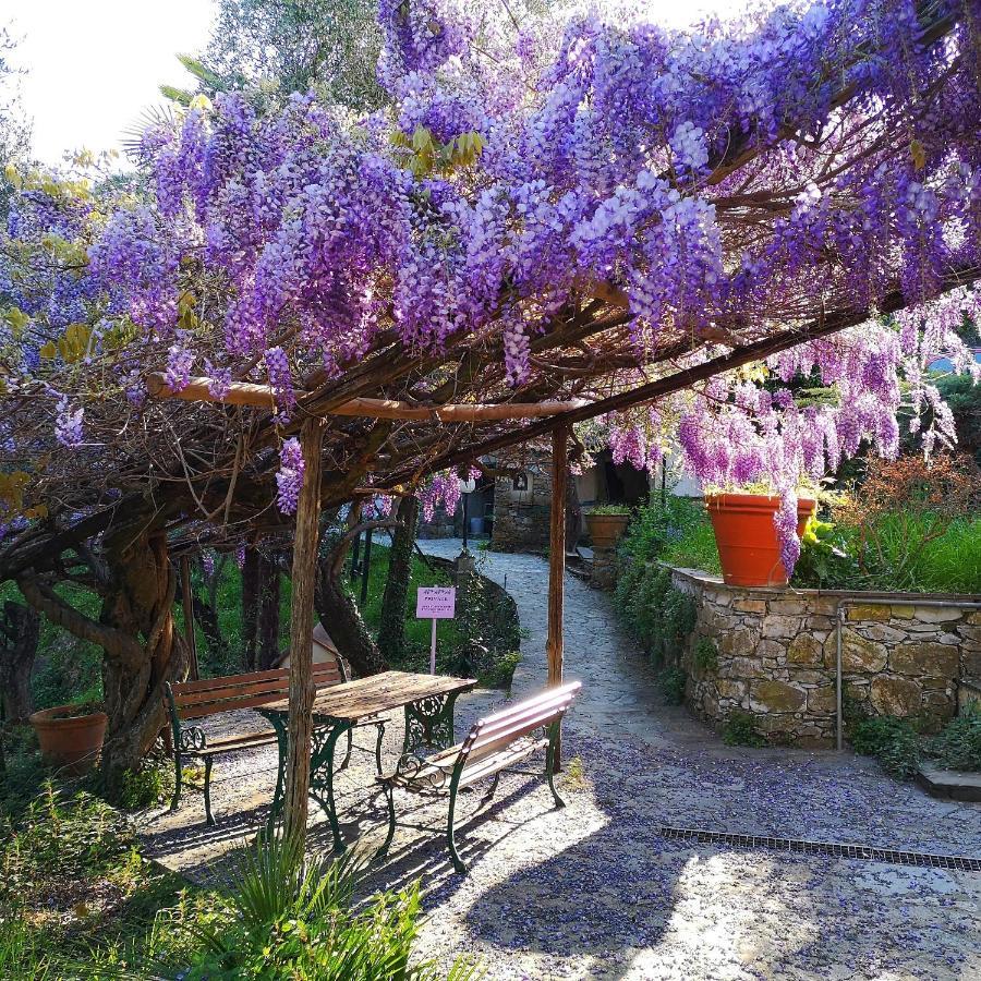 Vila La Vivagna - Casa Vista Mare Tra Gli Ulivi Leivi Exteriér fotografie