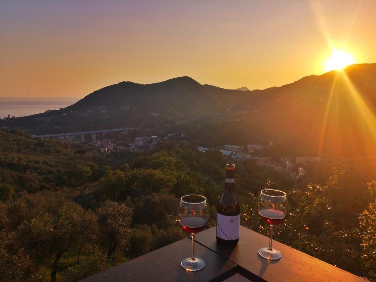Vila La Vivagna - Casa Vista Mare Tra Gli Ulivi Leivi Exteriér fotografie